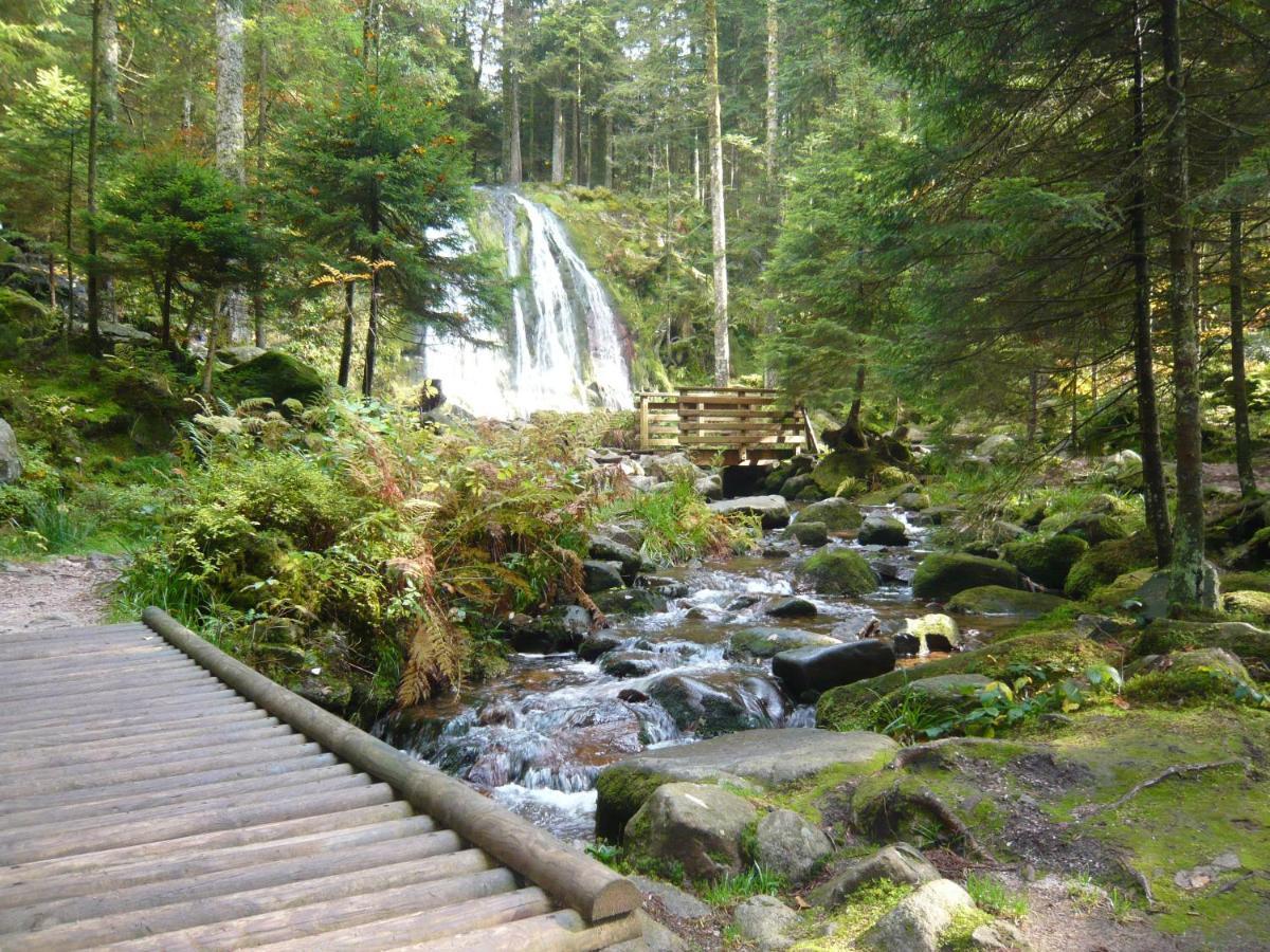 Chalet Les Moraines 8 르톨리 외부 사진